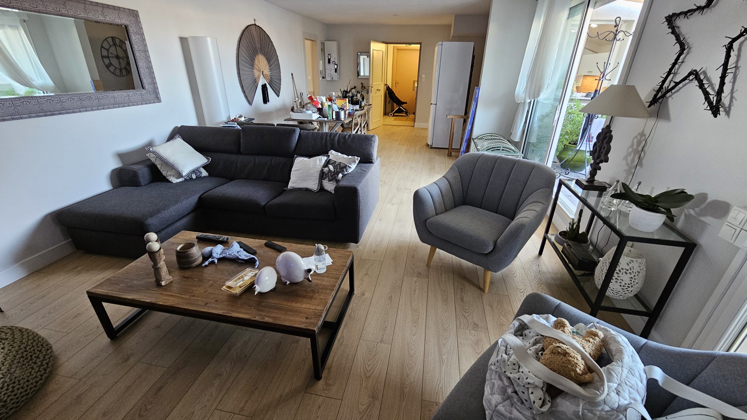 Salon avec un parquet au sol, éclairage naturel